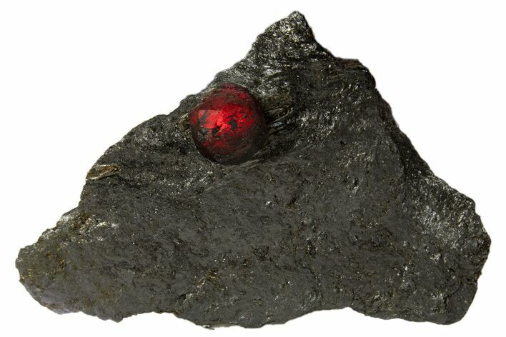 Red Embers Garnet in Graphite - Massachusetts #313420